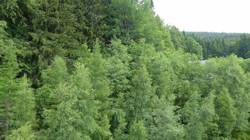 Apartman Bedrichov, Špindlerŭv Mlýn 외부 사진